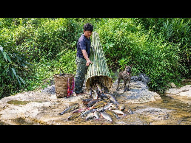 We Set a Traditional Bamboo Fish Trap… Look What We Caught!