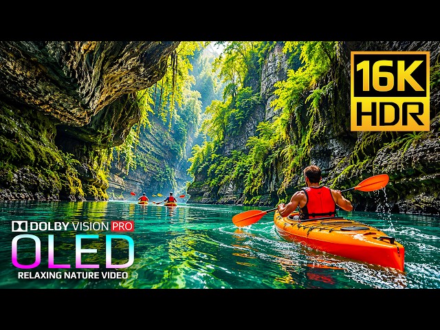 You Won't Believe This 16K HDR Nature Video | Dolby Vision OLED Test (4K Video • 8K Ultra HD TV)