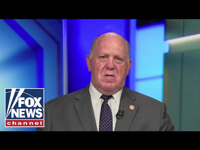 Tom Homan: This is 'SICKENING'