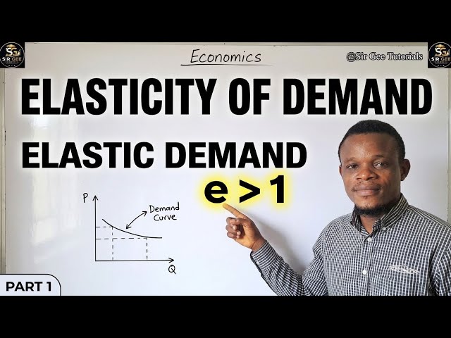 Elasticity of Demand Explained | Elastic Demand | Economics Part 1