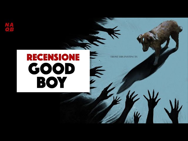 Good Boy - Review | A film with poor acting?