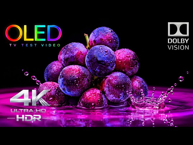 Why This 4K OLED Test Looks Mind-Blowing | True 4K HDR 240FPS Dolby Vision (4K TV Test)