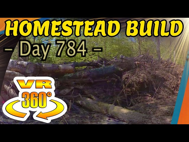 Homestead Building - Removing Logs and Dirt from Firewood Shed Site, Chopping Wood