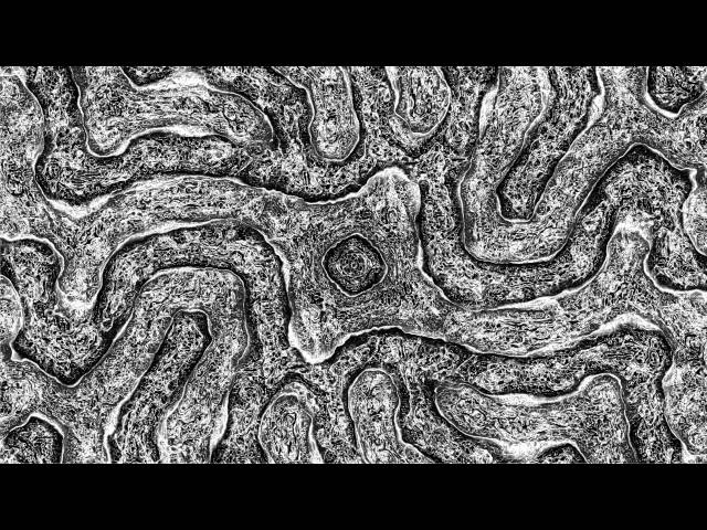 Multi-Scale Turing Pattern has a nice ring to it