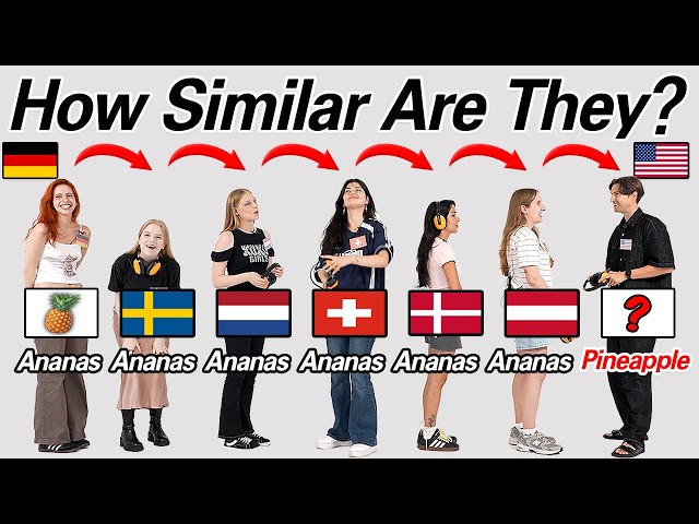 Can Germanic Language Speaker Understand Each Other? l Can They Pass The Language? EP1