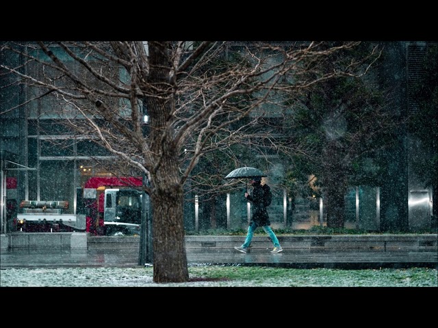 Thunder Storm Sounds – Rain and Thunder Sounds for Sleeping | Free Sound Effects | Ambient Sounds