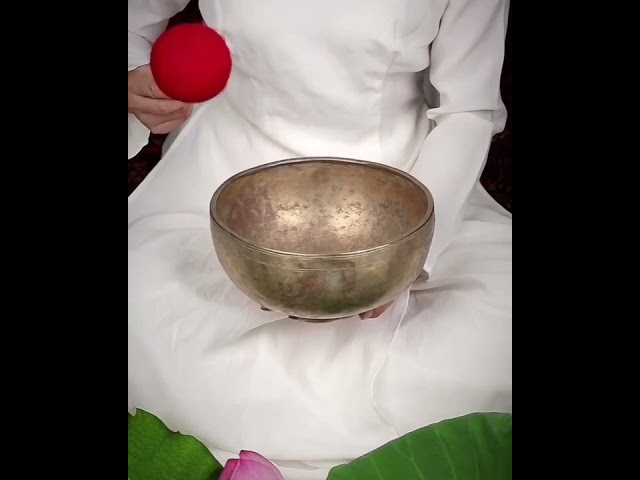 10 Minutes Deep Relaxing Meditation with Tibetan Singing Bowls ! Chakras Tune up !!!