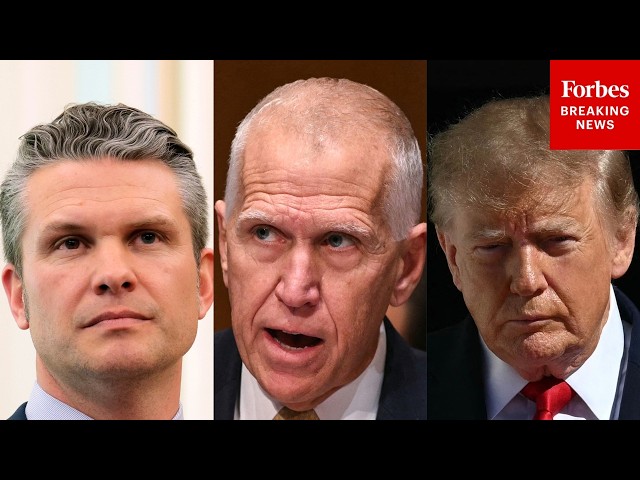 CNN Host Asks Thom Tillis: Should Trump 'Get Rid Of' Any Cabinet Officials If GOP Loses In November?