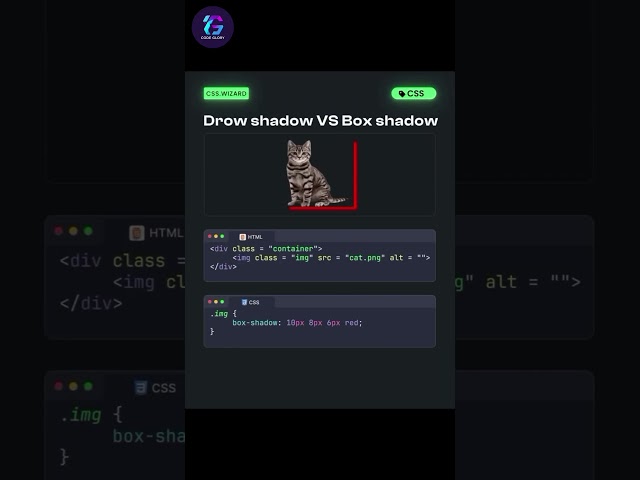 Drop Shadow V/s Box Shadow | Css tutorials #html5 #css #htmltutorial #shorts #short #codecoding #yt