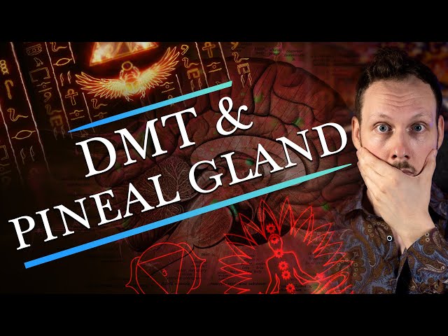 DMT in the Brain: A Pharmacologist's Perspective