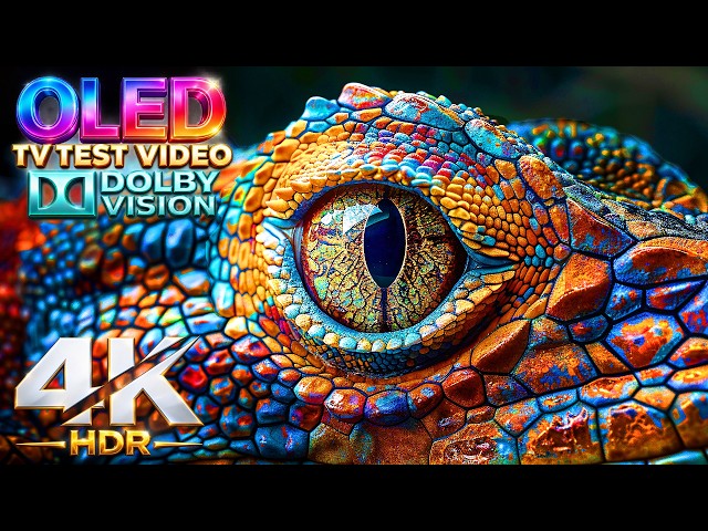 The FIRST 4K OLED Video You Should Play on a NEW TV | 4K HDR 60FPS Oled Screen Tes (4K Video TV)