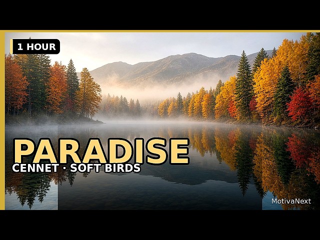 A Piece of Paradise · 24/7 Gardens, Rivers & Soft Celestial Music