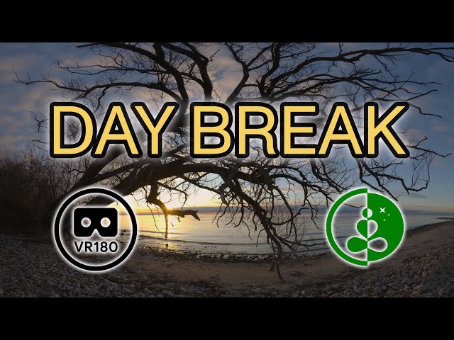 🌅 DAY BREAK | VR180 Nature Relaxation at Sunrise