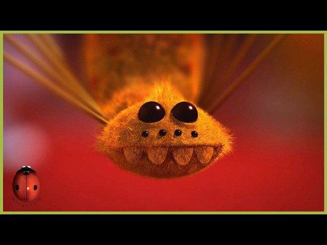 The Magic Fly | Minuscule | 15' Compilation