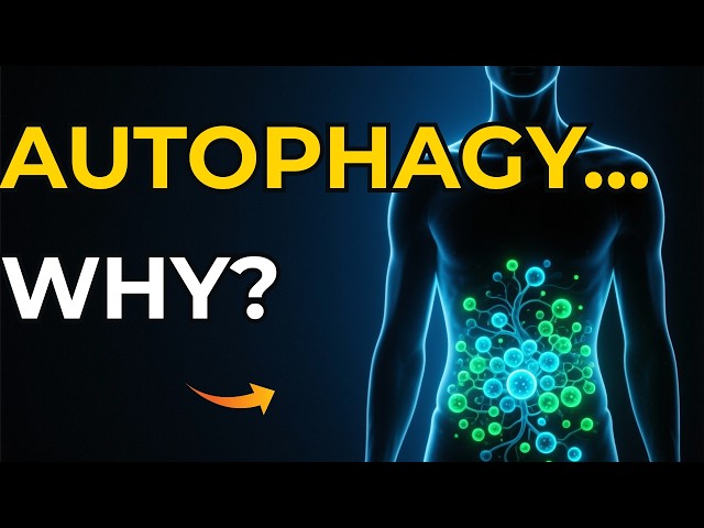 The Hidden Truth About How Autophagy Really Works 🎚️