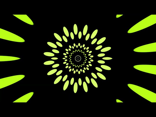 VJLOOP VJLOOPS 2024