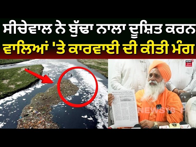 Buddha Nala Pollution | ਸੀਚੇਵਾਲ ਨੇ ਬੁੱਢਾ ਨਾਲਾ ਦੂਸ਼ਿਤ ਕਰਨ ਵਾਲਿਆਂ 'ਤੇ ਕਾਰਵਾਈ ਦੀ ਕੀਤੀ ਮੰਗ | N18V
