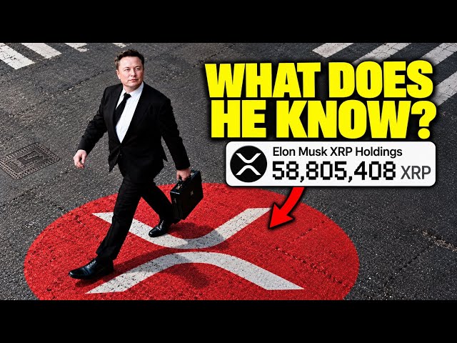 Elon Musk is USING XRP... I Now Know Why.