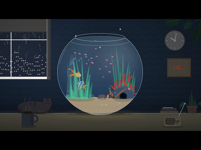 Fishbowl  24/7