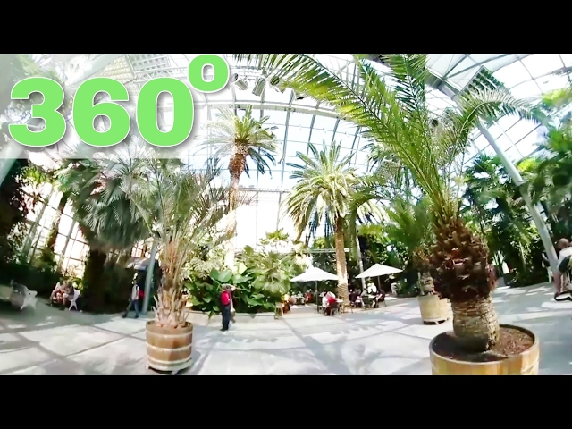 Palm Tree house Mainau Bodensee - Samsung Gear 360