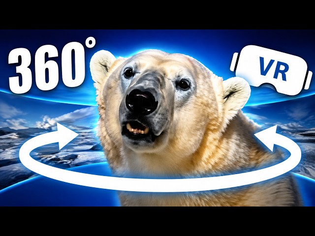 Remember November 2026 Is Coming Meme 360° VR Video