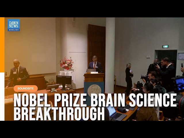 German, US Scientists Win Nobel Prize For Work That Has Helped Understand How The Brain Works