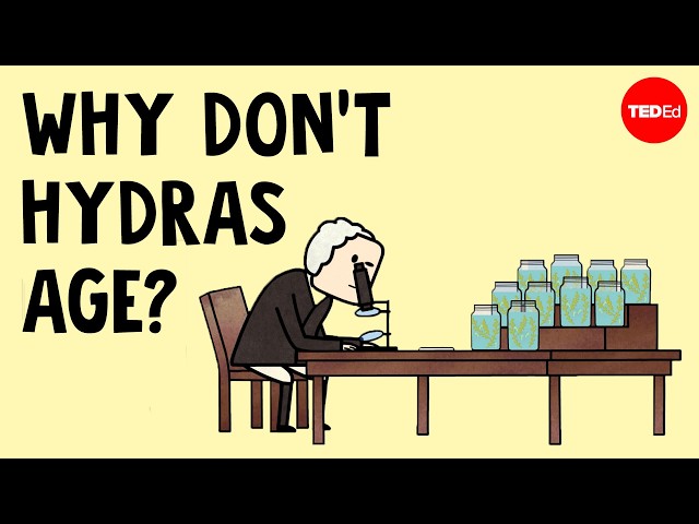 Why does this animal never age? - Raymond Adkins