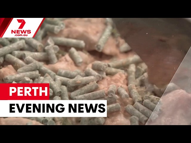 Poisoned curry in workplace; Port Hedland inquest; Leeming police car crash | 7NEWS