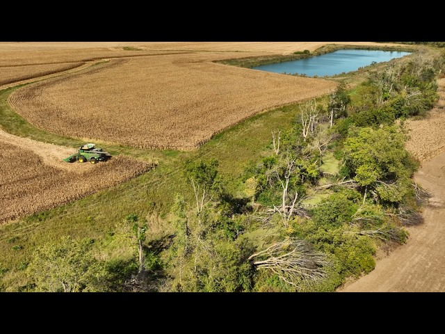 A Tornado Wrecked This Corn Field!