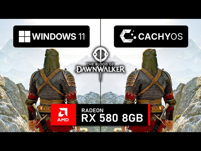 Windows 11 vs Linux (RX 580) - The Blood of Dawnwalker Tested