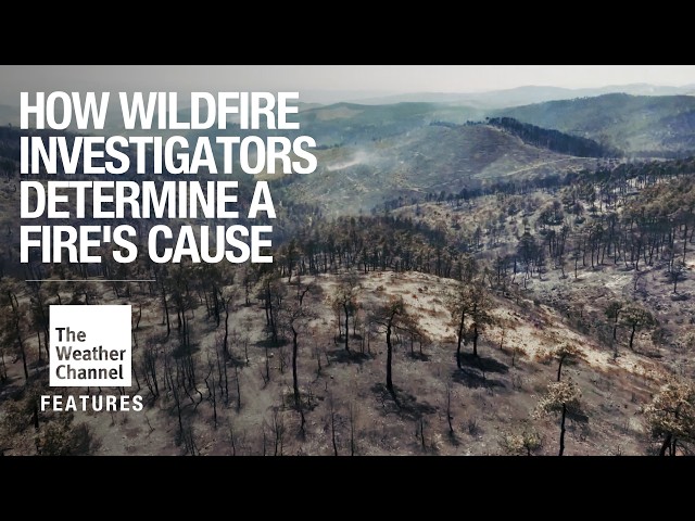 How Wildfire Investigators Determine a Fire's Cause | South Dakota Firefighters Tell Their Stories