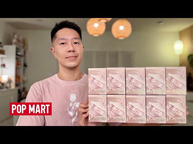 UNBOXING SKULLPANDA PARADOX VINYL FIGURES SERIES!! POPMART Blind Box Abstract Figures set