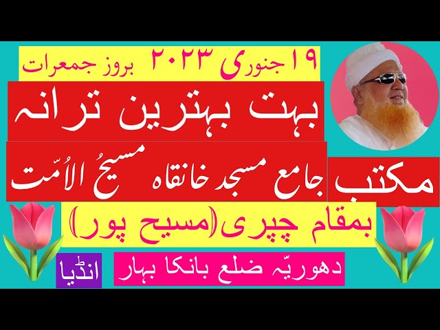 Best Tarana  بہت بہترین ترانہ