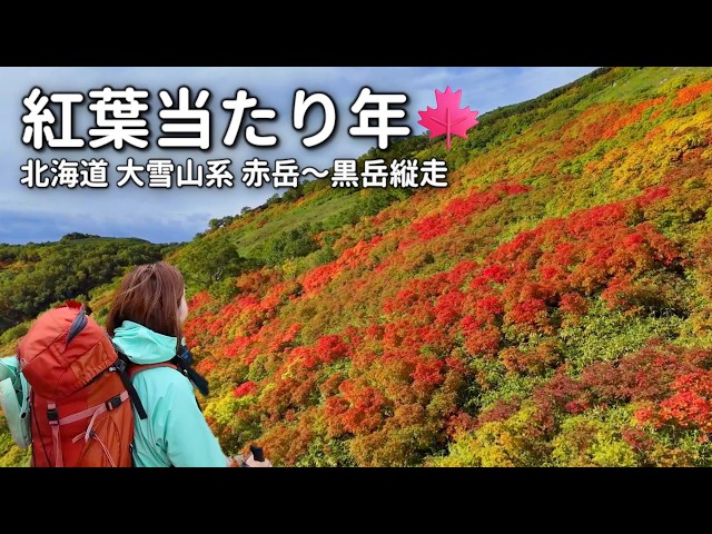 Japan’s Earliest Autumn Colors Are Incredible! | Daisetsuzan Akadake to Kurodake