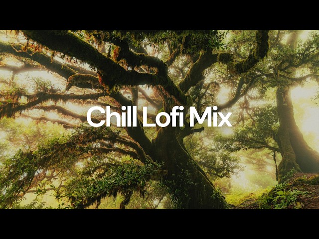 Chill Lofi Mix (2026) • chill lo-fi hip hop beats