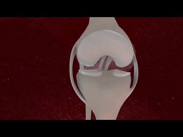Mienta Plus Medical Animation | Stereo 360 | VR