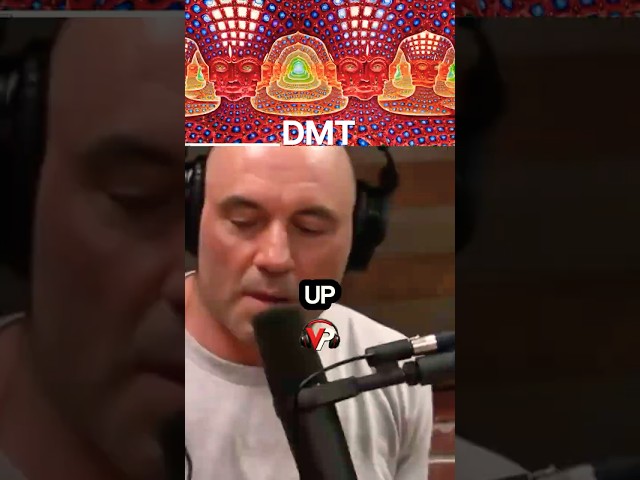 What Joe Rogan Saw On DMT   #joerogan #jre #podcast #DMT #shorts