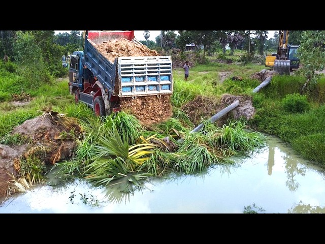 First Start Amazing PROJECT!! Filling Land Delete Deep Fish Pond Use Strong Dozer & 5Ton Dump Truck.