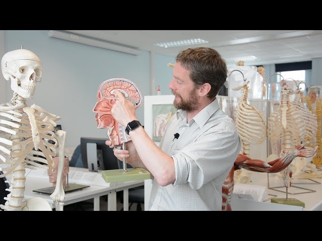 Brain - midline neuroanatomy part 1