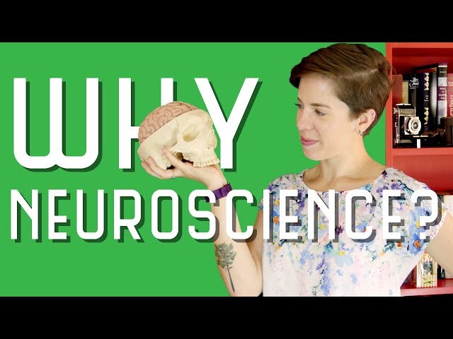 Why I Love Neuroscience