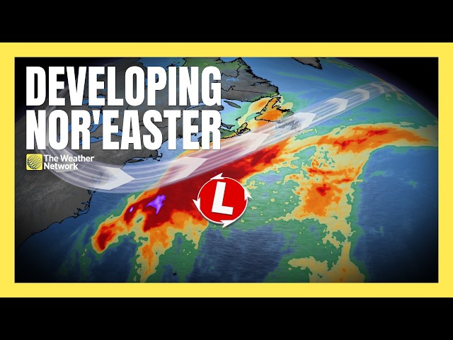 Will the developing nor'easter impact Canada? | #forecast