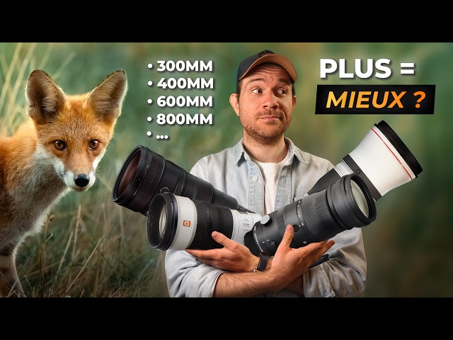 What is the BEST focal length for wildlife photography?