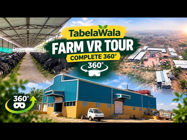 Welcome to TabelaWala Farm | 360° Virtual Tour