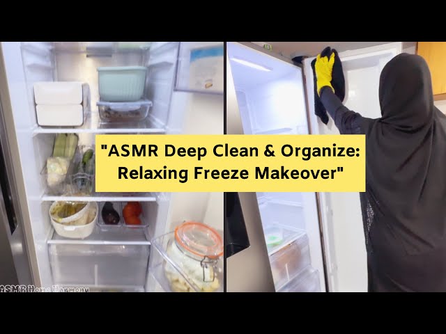 ASMR Deep Clean & Organize : Relaxing fridge Makeover / ফ্রিজ পরিষ্কার করলাম