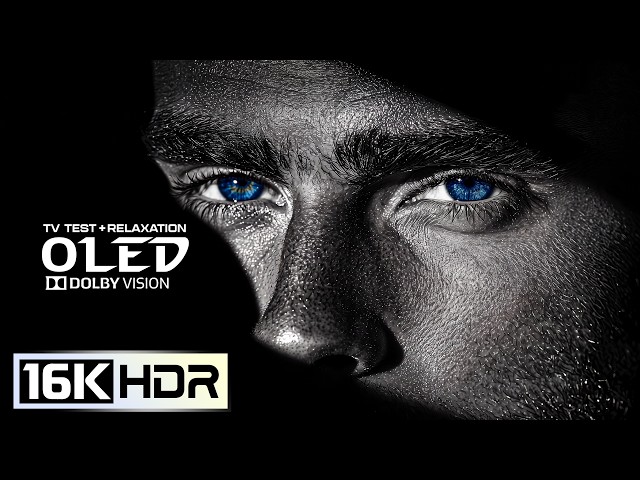 BEST HDR OLED Display Test | 16K Dolby Vision 120fps | 8K Video/4K Video Ultra HD TV