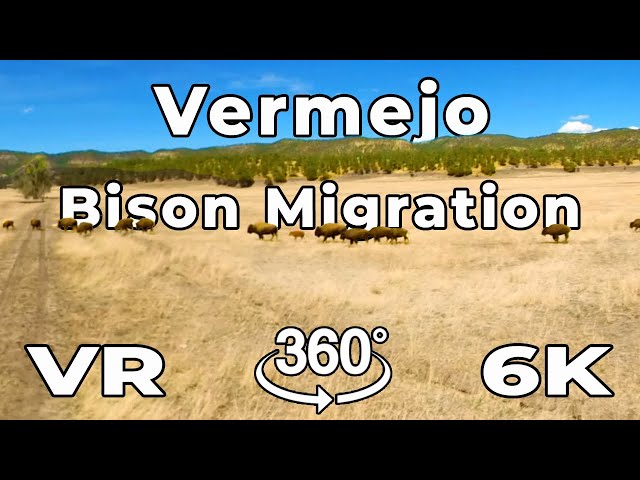 Vermejo, a Ted Turner Reserve in VR - Property Review & Bison Migration in Virtual Reality 5.7k 360º