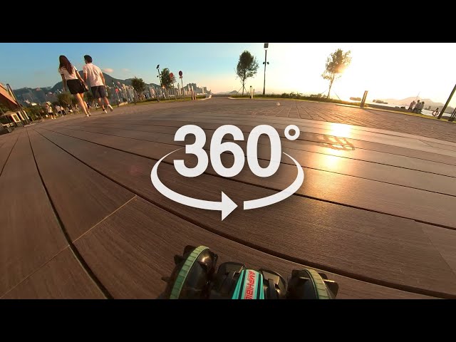 360° VR Riding on Tiny RC Car x Cute Dogs