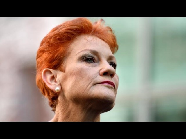 Liberal operatives believe One Nation could be set to win NSW state election