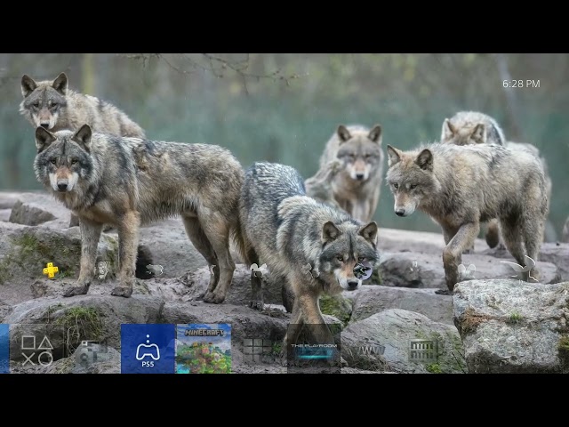 BRIKS 2 4K Wolves Dynamic Theme (Howling & Music)