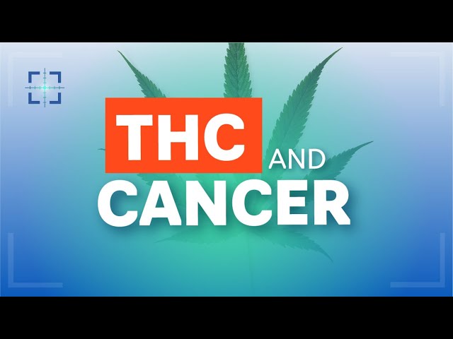 Can THC and other cannabinoids such as CBD help with cancer?